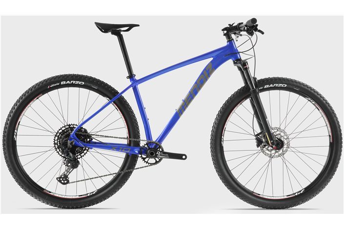 Mendiz X10 Azul.tif