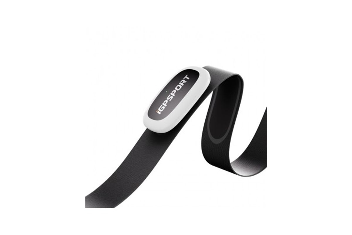 IGPS BANDA DE PULSO HR50